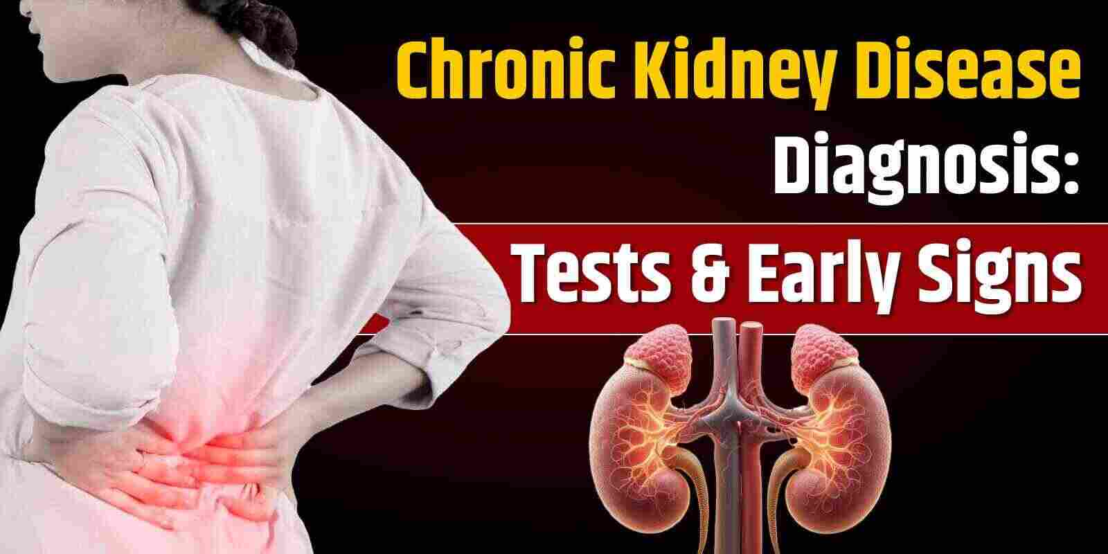 Chronic Kidney Disease Diagnosis: Tests & Early Signs